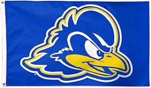 3x5 Delaware University Flag