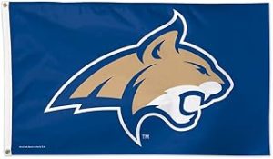 3x5 Montana State Flag