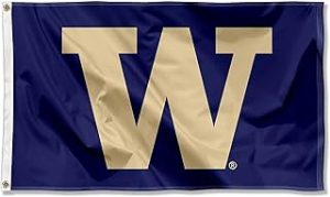 3x5 Washington University Flag