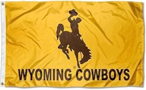 3x5 Wyoming University Flag