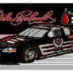 3 X 5 Ft Dale Earnhardt Flag-16892004