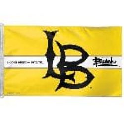 California State University Long Beach Flag
