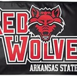 3x5 Arkansas State University Flag