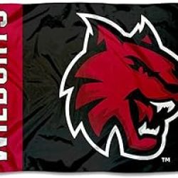 3x5 Central Washington University Flag