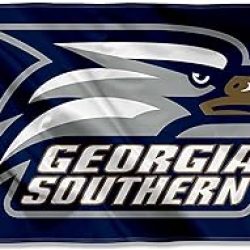 3x5 Georgia Southern University Flag