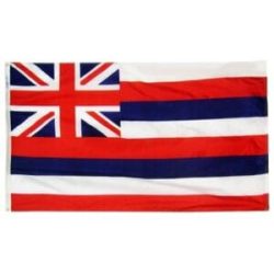 Hawaii State flag