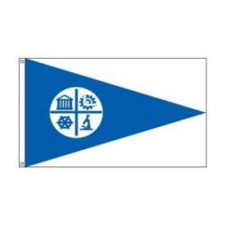 City of Minneapolis Minnesota flag
