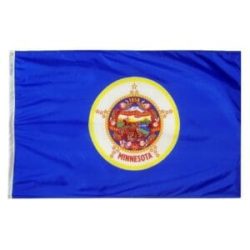 Minnesota State Flag