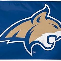 3x5 Montana State Flag