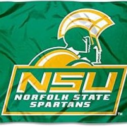 3x5 Norfolk State University Flag