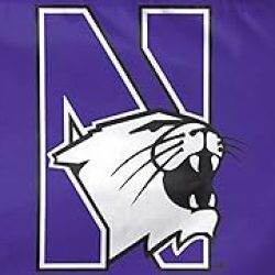 3x5 Northwestern Flag