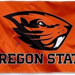 3x5 Oregon State University Flag