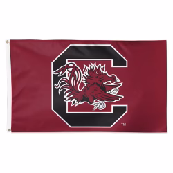 3x5 South Carolina Flag