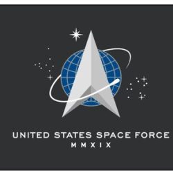 Space Force Flag