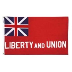 Taunton Flag 3 x 5 Ft Nylon