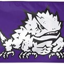 3x5 Texas Christian University Flag