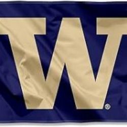 3x5 Washington University Flag