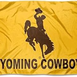 3x5 Wyoming University Flag